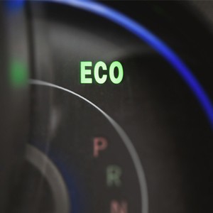 Economic Driving