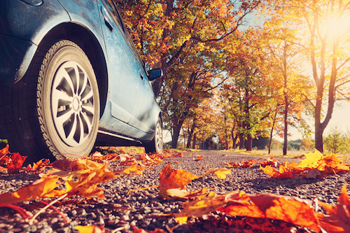 Autumn Vehicle Checks
