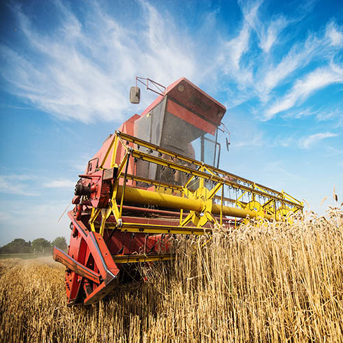 Preparing your farm for harvest season
