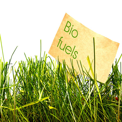 FAME Sulphur Free Gas Oil